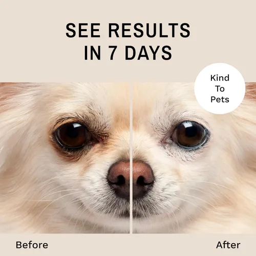 Vista 2 de Eye Envy Solución quitamanchas de lágrimas para perros. Suave, natural, segura. Limpia las manchas de lágrimas. Recomendado por criadores