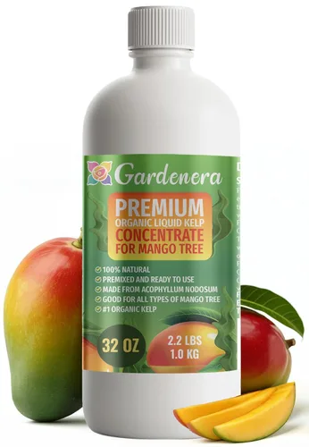 Vista 43 de GARDENERA Superalimento orgánico prémium de algas marinas y algas marinas para plantas AROID - 32 oz - Concentrado de fertilizante líquido de algas