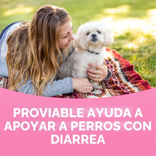 Vista 8 de Nutramax Probióticos Proviable para perros, Suplemento diario de salud digestiva con múltiples cepas de bacterias, probióticos para perros más