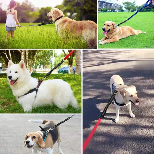 Vista 6 de Accesorio de extensión de correa elástica para perro, absorbente de extensión de plomo de 18 pulgadas, evita lesiones en el brazo y el hombro