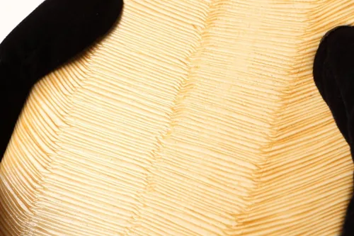 Vista 7 de Edoten Negro Setta Japanese Tatami Zouri Sandalias, Negro