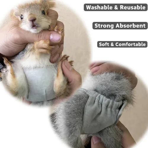 Vista 6 de Pañales lavables de ardilla – Pañales de tela reutilizables extra pequeños para mascotas, altamente absorbentes, a prueba de fugas, pantalones
