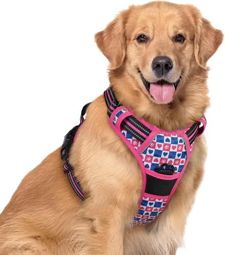 Vista 55 de Rabbitgoo - Arnés para perros sin tirón con 2 clips de correa, chaleco Oxford reflectante acolchado suave ajustable sin estrangulamiento para Beige
