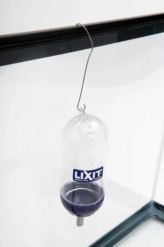 Vista 4 de Lixit® Bell Style - Jaula de acuario resistente a la escalada para ratas, hámsters, jerbos, ratones y otros animales pequeños (5 onzas)