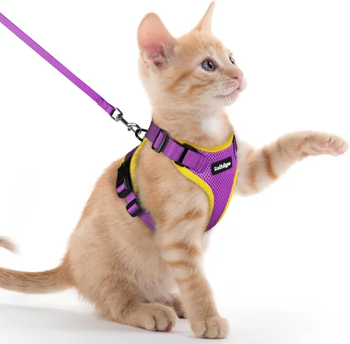 Vista 78 de rabbitgoo Cat Harness and Leash Set, Escape Proof Vest, XXS, Berry Pounce Soft Breathable Mesh, No-choke Adjustable Fit, Snap Buckles, Sturdy
