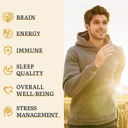 Vista 5 de Suplemento japonés de hongos Reishi de 800 mg con extracto de hongo Reishi 500 mg y esporas rotas de cáscara de 200 mg, cápsulas orgánicas de hongos