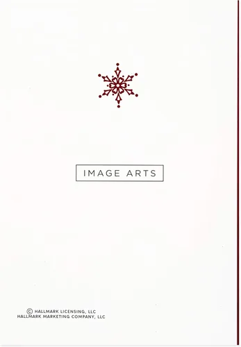Vista 11 de Hallmark Image Arts - Juego de tarjetas navideñas en caja, elegantes letras (4 diseños, 24 tarjetas con sobres)