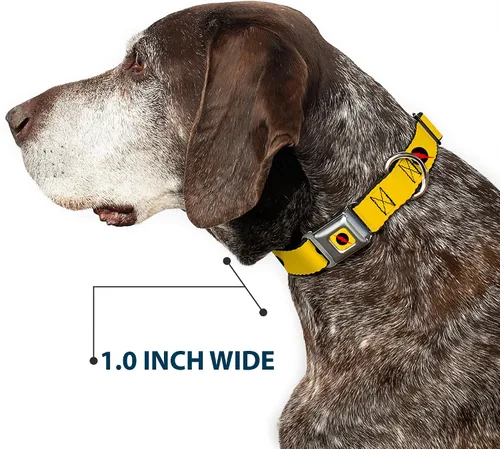Vista 6 de Buckle-Down Collar de perro con hebilla de cinturón de seguridad, logotipo de flash reverso, amarillo dorado, negro/rojo, 1 pulgada de ancho, se