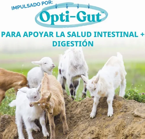Vista 5 de Manna Pro Nurse All Multi-Species - Reemplazo de leche, bolsa de 3.5 libras Complete Nutrition - Sustituto de leche para terneros, corderos
