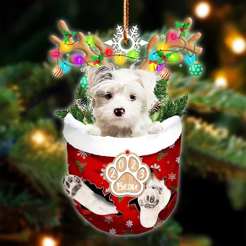 Vista 11 de NAZENTI Adorno Navideño de Bolsillo Personalizado de Affenpinscher en la Nieve, Adorno de Forma Acrílica de Perro, Adorno de Navidad 2023, Adorno