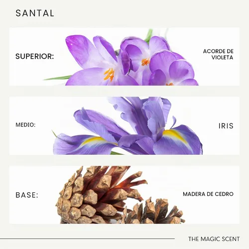 Vista 6 de Aceite Difusor Santal de The Magic Scent - Fragancia - Frío y Ultrasónico - Aceite Esencial de Sándalo - Aceites Difusores de Aromas para el Hogar