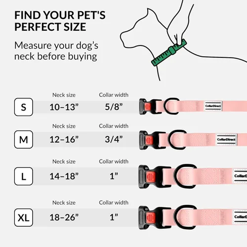 Vista 5 de CollarDirect Collar de perro impermeable – Silicona, plástico, resistente al olor, fácil de limpiar, para perros pequeños, medianos y grandes