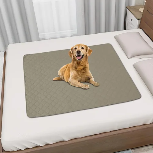 Vista 3 de Easy-Going - Funda impermeable 100% para cama de perro, manta antideslizante para mascotas para muebles, funda lavable para sofá, funda de repuesto