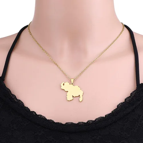 Vista 5 de SHOUJIQQ Collar con colgante de mapa de Venezuela Collar con dije de bandera étnica de Hip Hop de la República para mujeres y hombres, clavícula C