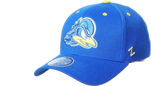 Vista 41 de ZHATS - Sombrero ajustado elástico para hombre de la NCAA, color del