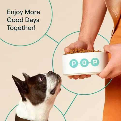 Vista 9 de POP-Topper - Comida para perros – Polvo multivitamínico para perros de 35 libras en adelante – Deliciosa base de caldo de huesos con 6