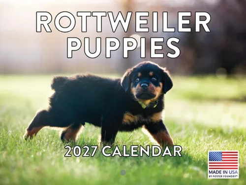 Vista 46 de Calendario mensual de pared Airedale Terrier Dog 2027