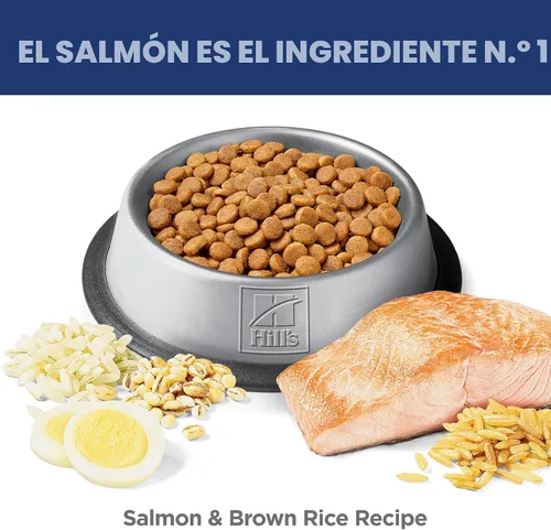 Vista 4 de Hill's Science Diet - Alimento seco para gatos con estómago y piel sensible