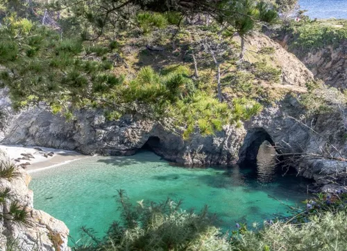 Vista 2 de Noah Puzzle Point Lobos State Park California 1000 piezas