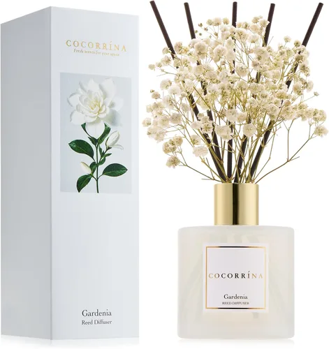Vista 13 de Difusor de Varillas Cocorrína - Difusor Aromatizante con Aroma de Arroyo de Bambú con 8 Varillas, Difusor de Fragancia para Hogar, Decoración