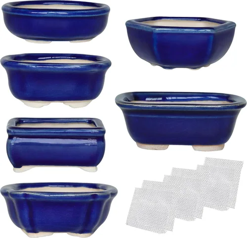 Vista 8 de Juego de 6 macetas esmaltadas para suculentas Bonsái + 6 pantallas de drenaje de malla suave