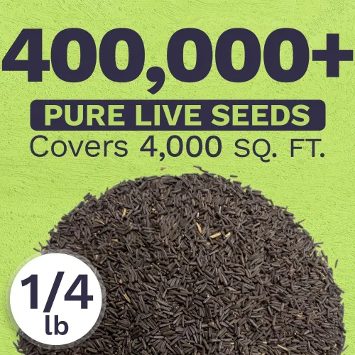 Vista 3 de Black Eyed Susan Seeds - Bolsa a granel de un cuarto de libra - Más de 400,000 semillas de flores silvestres polinizadas abiertas sin OMG