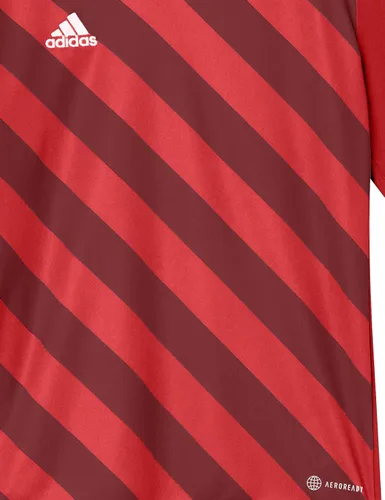 Vista 2 de adidas Camiseta estampada Entrada 22 para niños