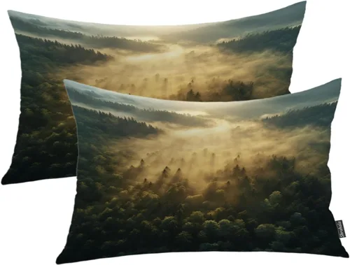 Vista 74 de Shrahala Abstract Art Modern Aesthetic Decorative Pillow Covers, Fluid Forms Minimalist Throw Pillow Cover Blended Hidden Zipper Cushion Cases for