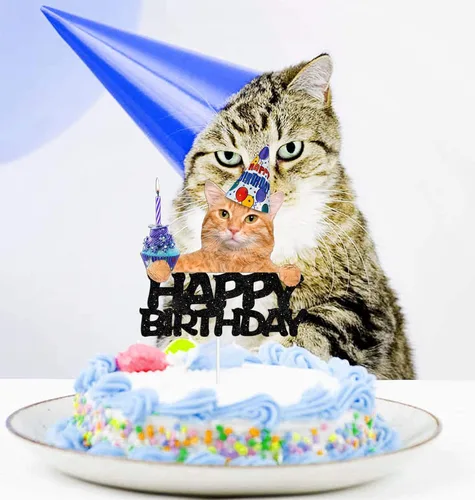 Vista 7 de Decoración de pastel de cumpleaños para gatos, selecciones temáticas de cumpleaños para mascotas, suministros de decoración de fiesta