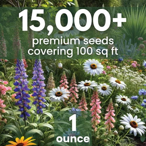 Vista 2 de Mezcla de especies perennes - Paquete grande de 1 onza - 15,000 semillas de flores para la plantación - Mezcla de flores silvestres