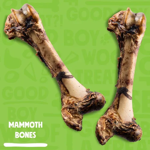 Vista 2 de Mammoth - Hueso de perro grande para perros grandes, hueso de fémur de carne de res natural de 16 pulgadas, masticable de larga duración