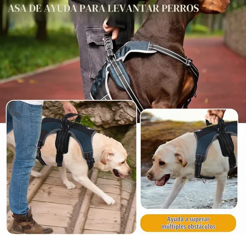 Vista 3 de Mihachi Arnés para perro para perros medianos, chaleco de servicio sin tirones a prueba de escapes, con tiras reflectantes y asa de control Azul