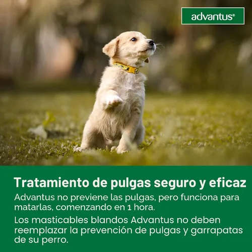 Vista 9 de Advantus Tratamiento oral antipulgas de acción rápida para perros, masticables suaves para perros de 4 - 22 lbs. 7 unidades.