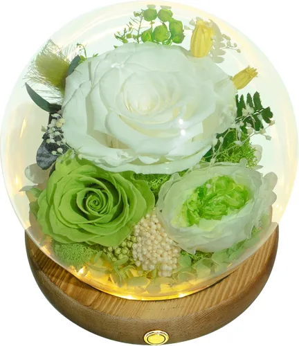 Vista 16 de Valley of Rain & Forest Flores reales de larga duración, regalo floral único para que envíes amor para todas las ocasiones, para decoración de Rosa