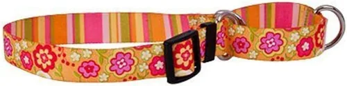 Vista 10 de Amarillo diseño de perro Martingale Collar, Grande, Marrón Flores rosa y verde azulado