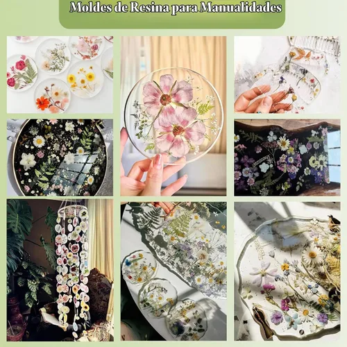 Vista 4 de 86 piezas de flores prensadas secas blancas y rosas para manualidades de resina Blanco 86 piezas
