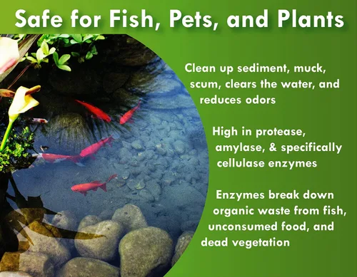 Vista 3 de Pond Worx Agua clara: la formulación concentrada mejora la claridad y calidad del agua, ayuda a limpiar el agua turbia, segura para peces, mascotas