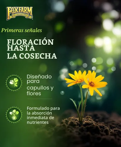 Vista 2 de FoxFarm - Concentrado de fertilizante líquido Tiger Bloom - Fórmula de acción rápida para un crecimiento vigoroso con fósforo - Fomenta