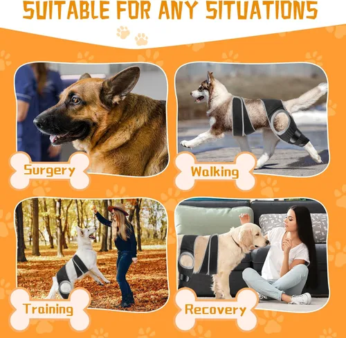 Vista 3 de Rodillera para perro ACL, soporte de cadera para perro para desgarro frontal y trasero, patas traseras de ACL, cómodo y ajustable, soporte
