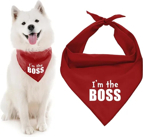 Vista 31 de Parisian Pet Bandanas naranjas para perros – Bandana ajustable para cachorros – Accesorios para perros para niños y niñas – Pañuelo para perros Best