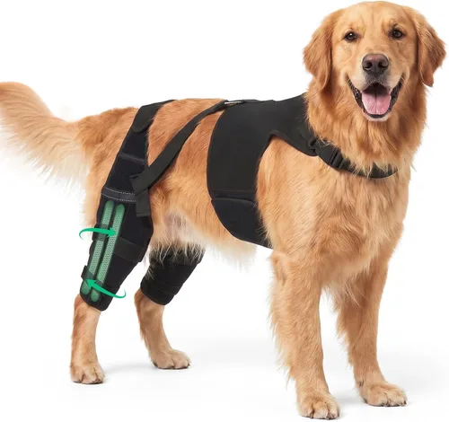 Vista 8 de Rodilleras para perro para soporte de pierna trasera, soporte ACL/CCL