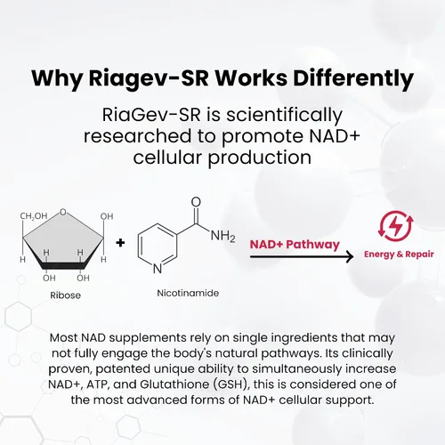 Vista 5 de Revive Tabletas de suplemento NAD+ para hombres y mujeres Suplemento NAD impulsado por RiaGev®-SR Energía celular, metabolismo, cerebro
