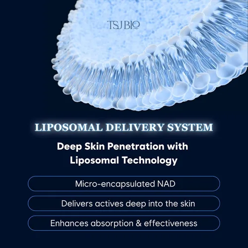 Vista 5 de Crema de renovación intensiva NMN - Lujoso tratamiento nocturno con NMN 70,000PPM, resveratrol y crecimiento 9