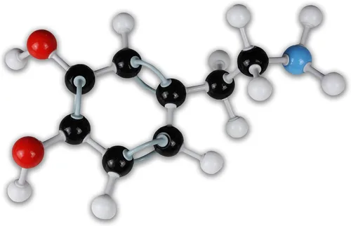 Vista 3 de Parco Scientific Kit de modelo molecular PCM007 125PCs
