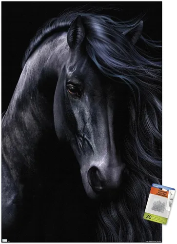 Vista 7 de Trends International Laurie Prindle - Póster de pared negro con pasadores