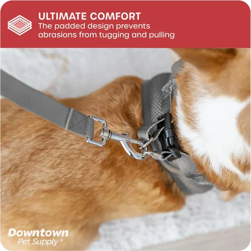 Vista 115 de Downtown Pet Supply Arnés para perro Step-in – Sin tirones, malla acolchada ajustable con ribete reflectante, correa de hebilla segura – Arnés