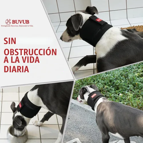 Vista 4 de Soporte ajustable para el cuello del perro para aliviar el dolor de cuello y lesiones, collar de apoyo suave y cómodo para perros