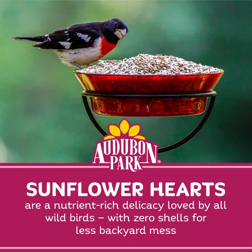Vista 3 de Audubon Park Semilla de pájaro silvestre de corazones de girasol, 10 libras