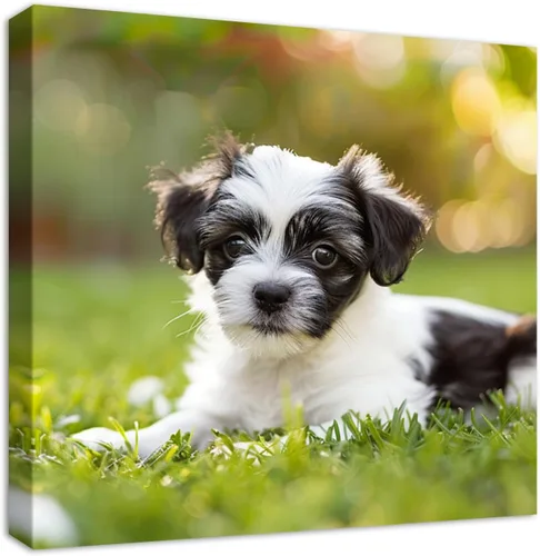 Vista 16 de YYYYHPP Impresiones en lienzo con tus fotos, arte de pared personalizado de foto a lienzo, impresión en lienzo para boda, familia, bebé, mascotas