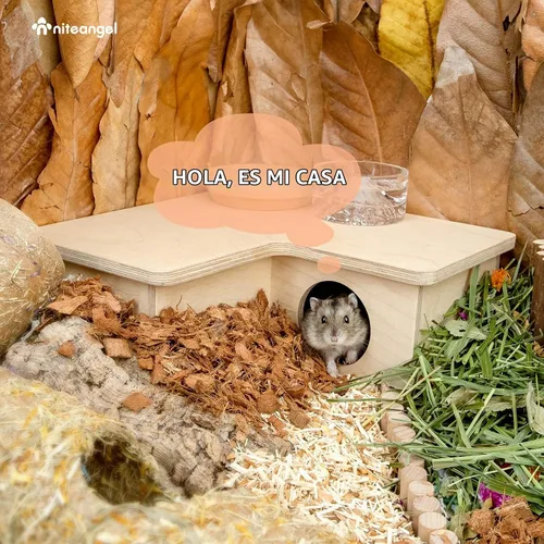 Vista 6 de Niteangel Laberinto de casa de hámster multicámara: 1 entrada 3 habitaciones Laberinto Habitat No-Disturb Removable Lid - Encourage Pets Hide and